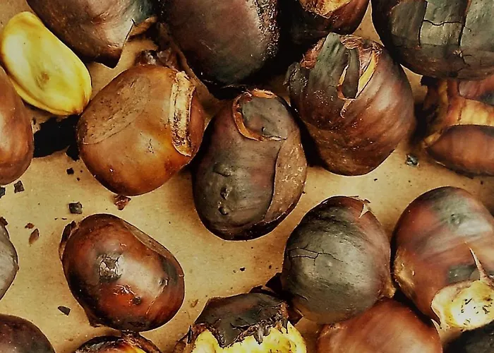 アパート Izarrate *