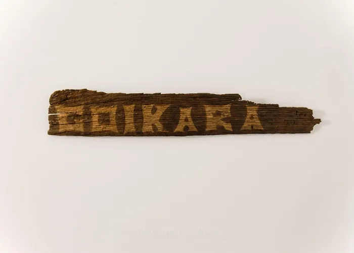 Izarrate アパート *